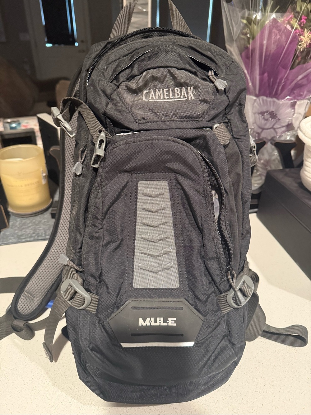 CamelBak Mule Black and Gray Hydration Backpack, 100oz